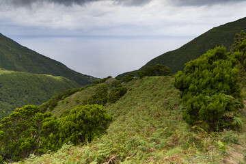Obraz premium Typical landscape of the island of Sao Jorge in the Azores archipelago