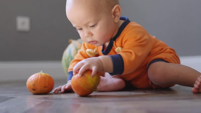 cute baby infant toddler in orange monster halloween costume sitting on the wooden floor indoors and playing with organic pumpkins