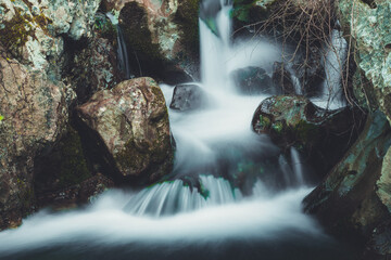 long exposure shot of little waterfall in forest
