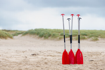 Standing rowing oars rest of rubber raft on sand beach in summer, The red paddle of inflatable boat...