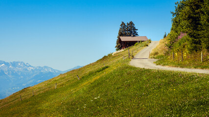 Concrete mountain road going uphill between Alpine meadows in the swiss Alps above Aigle near Leysin on a summer day with a clear blue sky