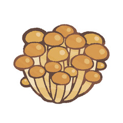 なめこ