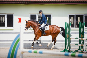 portrait of young gelding horse and adult man rider galloping during equestrian showjumping...