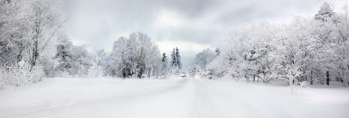 Winter road and trees covered with snow - Powered by Adobe