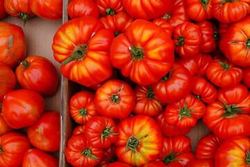 Crate of colorful organic heirloom tomatoes at the farmers market