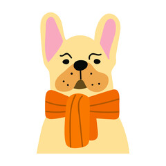 French bulldog wearing orange scarf. Illustration on white background.