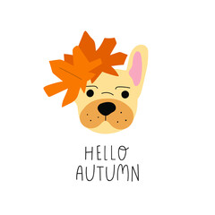 Phrase - Hello autumn. Face of French bulldog. Yellow leaves upon his head. Illustration on white background.