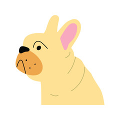 Face of French bulldog. Hand drawn illustration on white background.