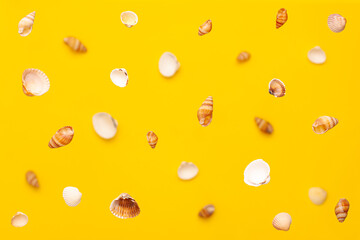Fototapeta na wymiar Levitation from above of sea shells of white and brown colors pattern on vibrant yellow background. Holidays travel and vacation concept with copy space