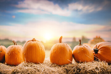 Halloween pumpkins on hay.
