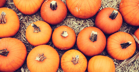Halloween pumpkins on hay.