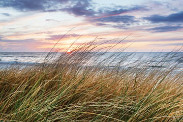 Beach grass on dune, Baltic sea at sunset - obrazy, fototapety, plakaty