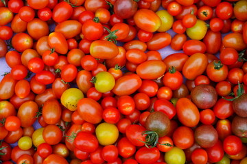 Crate of colorful organic heirloom tomatoes at the farmers market