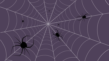 spider and web, halloween background