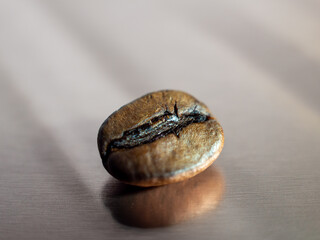 Coffee bean on a reflective surface. Macro.
