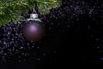 Snowcapped christmas ball hanging on a fir branch, dark background with purple sparkles, copy or text space.