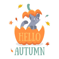Cute gray kitten, cat sitting in the ginger, red pumpkin and cover on head and autumn leaves on white. Vector illustration for postcard, banner, decor, design, arts, web, calendar, advirtising.