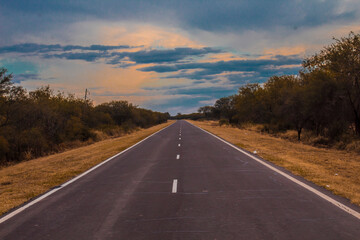 Fototapeta premium RUTA