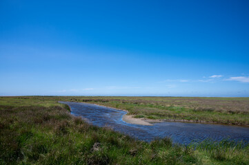 salt marshes at the north sea in germany near st peter ording and westerhever sand