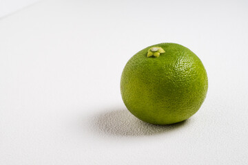 白い背景と置かれたカボス