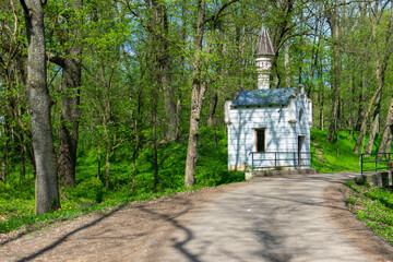 Fototapeta premium The road through the forest that leads to Sturdza Castle from Miclauseni, Romania 