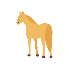 Golden horse. Elegant herbivore. Colorful vector isolated illustration hand drawn. Farm animal, livestock