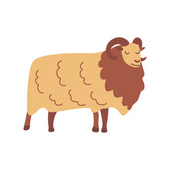 Norwegian Sheep with horns. Elegant fluffy herbivore. Colorful vector isolated illustration hand drawn. Farm animal, livestock