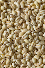 Raw Organic Dry Pearl Barley