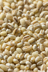 Fototapeta premium Raw Organic Dry Pearl Barley