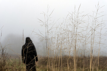 A sinister hooded figure standing in a field on a foggy day, out of focus in the background.
