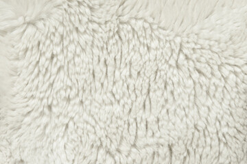 Background from white soft long-haired fur. Pattern for design. Graphic element
