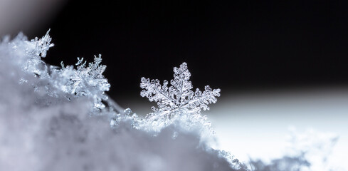 Snow in winter close-up. Macro image of snowflakes, winter holiday background. 
