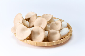 エリンギ, ,茸, 野菜, 食材, 白バック