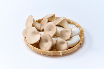 エリンギ, ,茸, 野菜, 食材, 白バック