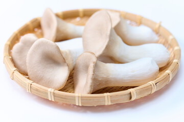 エリンギ, ,茸, 野菜, 食材, 白バック