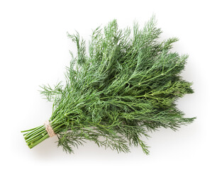Bunch of fresh dill isolated on white background