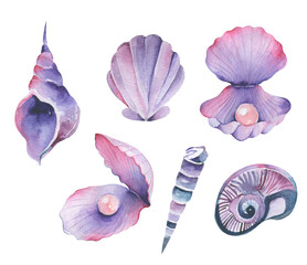 Watercolor set of seashells Sealife Elements Group