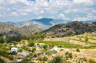 Fototapeta na wymiar Countryside, mountains and plantation in Cyprus