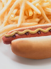 Hot Dog and Fries 