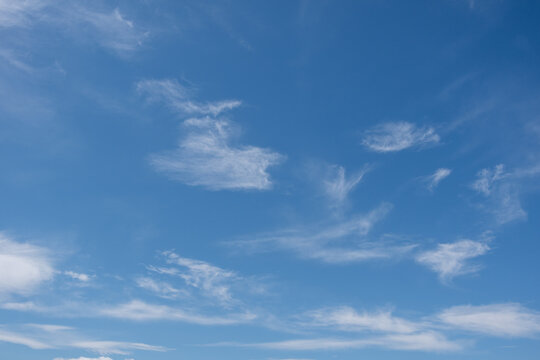 Beautiful cirrus clouds in the blue morning sky. Background of blue sky and white cirrus clouds in summer for your photos, mockup for design.