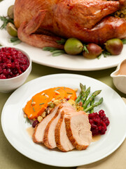 Thanksgiving Turkey Dinner