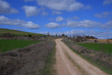 Fototapeta premium Way in the middle of a farm