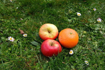 Apples and orange in the grass