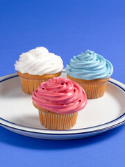 Patriotic cupcakes