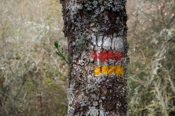White, red and yellow tree signal