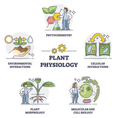 Plant physiology five key areas study and research outline collection set. Labeled educational elements for nature and environment process deep examination and scientific approach vector illustration. - obrazy, fototapety, plakaty
