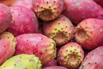 Group of prickly pears cactus, Mediterranean fruit in a street food market, close up