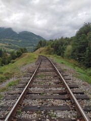 Fototapeta premium Beautiful landscape overlooking the Carpathian mountains in summer with green grass, trees and sky