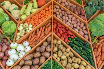 A showcase of a vegetable storehouse with a large assortment of fresh products. Collage of ripe vegetables of the new harvest.