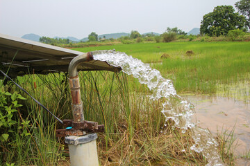 Obraz na płótnie Canvas pump water flow out of the PVC Pipe